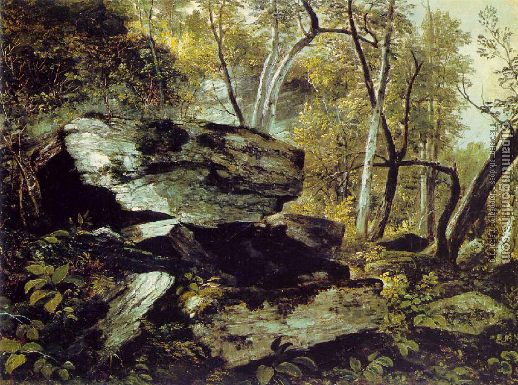 Durand, Asher Brown - Study from Nature: Rocks and Trees